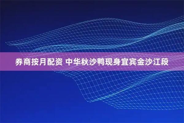 券商按月配资 中华秋沙鸭现身宜宾金沙江段